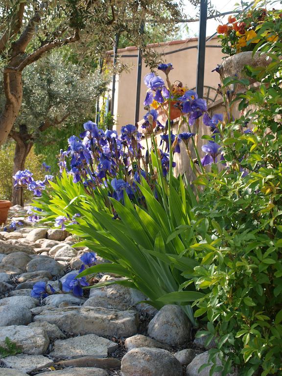 Jardin D'Antan Bed & Breakfast Ansouis Exterior photo