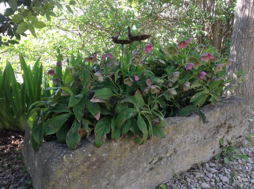 Jardin D'Antan Bed & Breakfast Ansouis Exterior photo